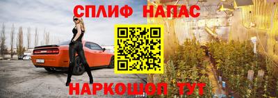 стаф Донецк